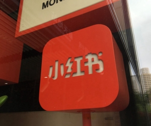 ​小红书成立 AI 一级部门 “Dots”