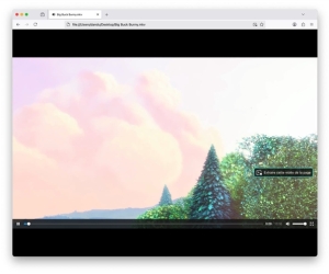 火狐Firefox终于支持MKV视频播放