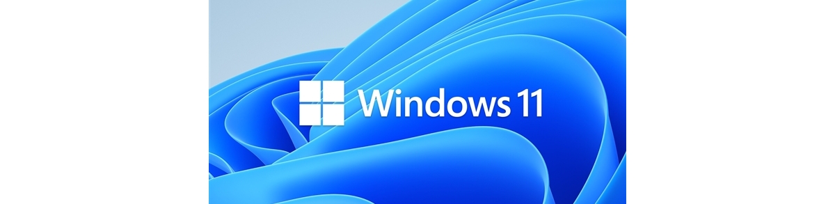 用户根本不愿意升级！戴尔证实：Win11比Win10升级慢多了